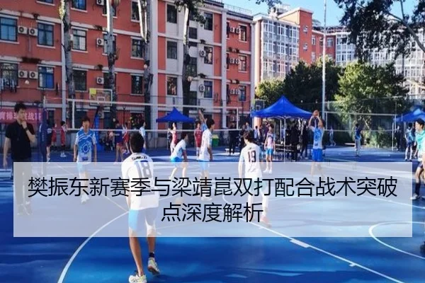 樊振东新赛季与梁靖崑双打配合战术突破点深度解析